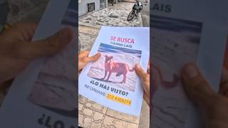 Fierro lais🤣🤣 #motos #viralvideo #humor #biker