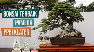 Pameran dan Kontes Bonsai Lokal Ranting Barat PPBI Cabang Klaten 19 - 27 Mei 2024