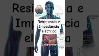 Resistencia e Impedancia Eléctrica en el Cuerpo Humano