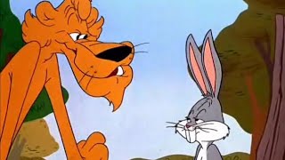 Looney Tunes Golden Collection S 01 E 06 B - RABBIT'S KIN |LOOcaa|