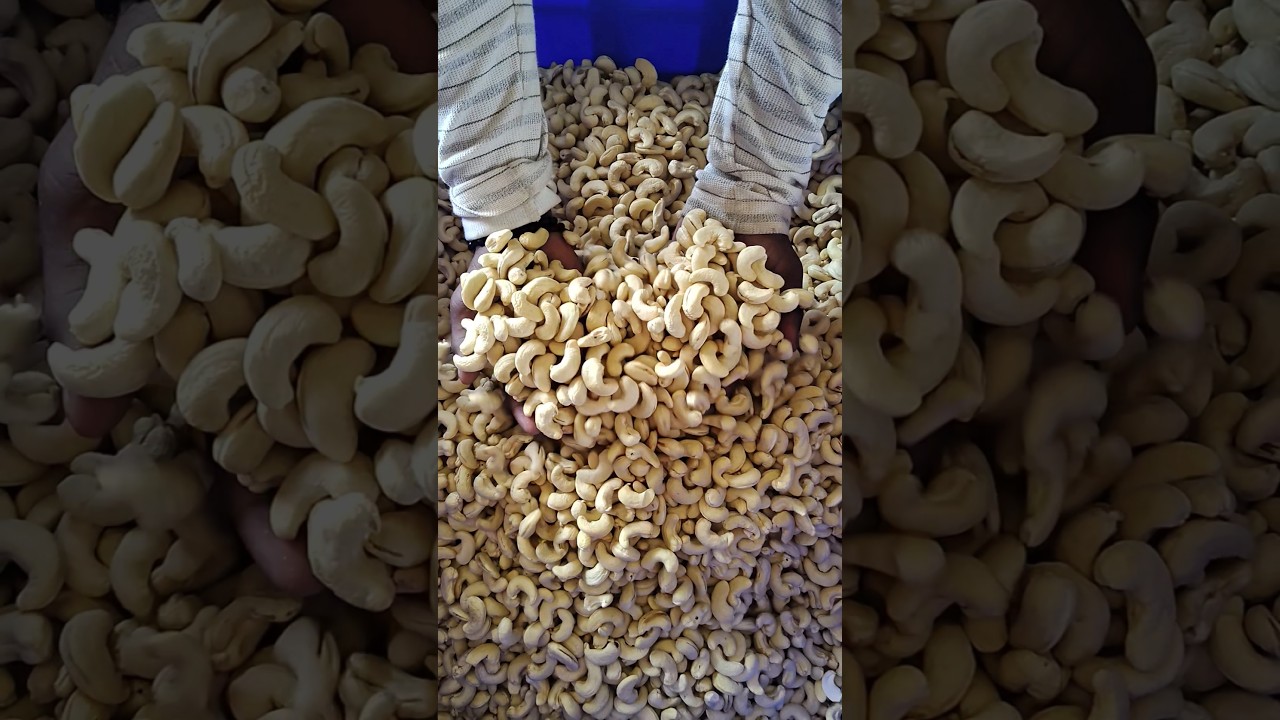 Mana small business , cashew business ni support chestunanduku thanks #food #trendingshorts