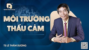MÔI TRƯỜNG THẤU CẢM | TS LÊ THẨM DƯƠNG MỚI NHẤT NĂM 2025