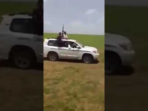 الشاعر محمد الطيب كبابيش أهلي