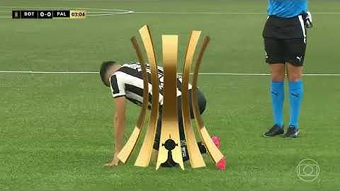 BOTAFOGO 2 x 1 PALMEIRAS | O MELHOR JOGO DA LIBERTADORES 2024 | JOGO COMPLETO