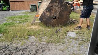 stihl ms 880 vs big ash log