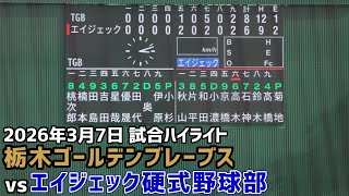 2026年3月7日栃木ゴールデンブレーブス対エイジェック硬式野球部！試合ハイライト！