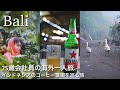 【会社員の海外1人旅】バリ島4泊5日🇮🇩コーヒー愛が止まらなく農園まで来ちゃった☕️ Bali Coffee Plantation Tour
