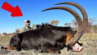 25 Strangest Animals Living in Africa