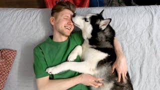 The Funniest Moments With Husky Yuki | Funny Dog Challenge