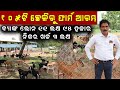       how to get govt scheme in goat farm goat farm in odisha