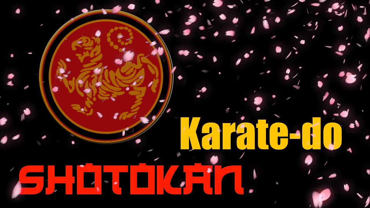 karate-do-shotokan-inicio-kata-heian-shodan-youtube