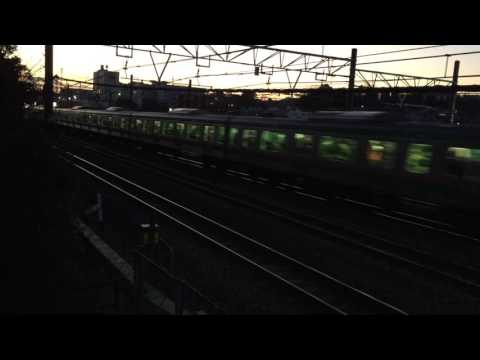 【東海道·横須賀線】E217系、E231系並走