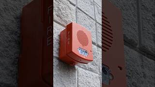 Wheelock Eluxa EL4XHS-FR Outdoor LED Horn Strobe #firealarm