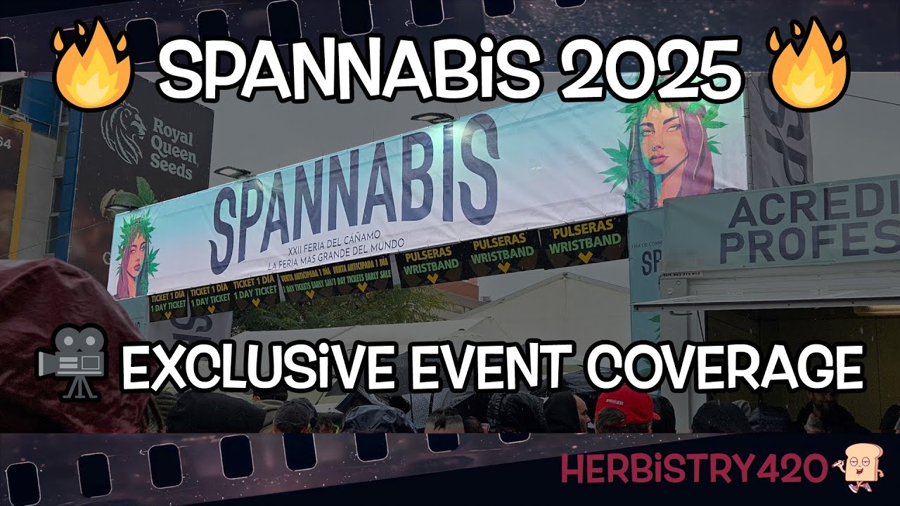 🔥 ПОСЛЕДНИЙ год Spannabis Barcelona! Полное освещение главного события о каннабисе 🌿💨