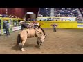 Bryce Eck with a 75.5-point ride on Vold Rodeo Company's Jackie in bareback on Wednesday at the