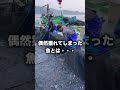 【衝撃】絶滅危惧種が網に入ってしまった時の対処法