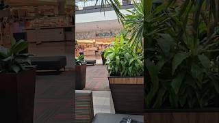 A Quick Teaser For Tomorrow