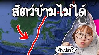 เส้นปริศนาที่สัตว์ข้ามไม่ได้! | Point of View