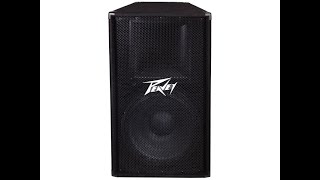 PEAVEY PV-115 / мини-обзор / звук