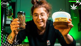 Details CELEBRATING 4/20 by making CANNABUTTER AT HOME! || Easy How To RECIPE using DELTA-8 Update
