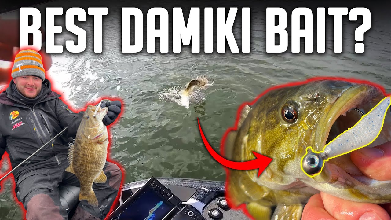 The BEST DAMIKI RIG Lure For Winter Bass Fishing!