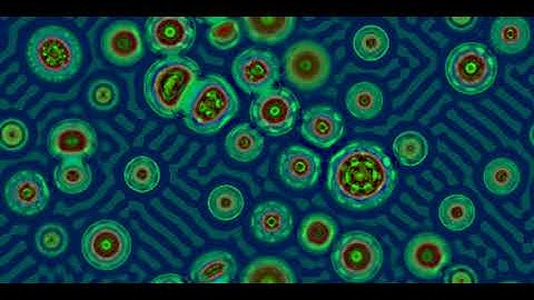 Cellular Automata - Slackermanz