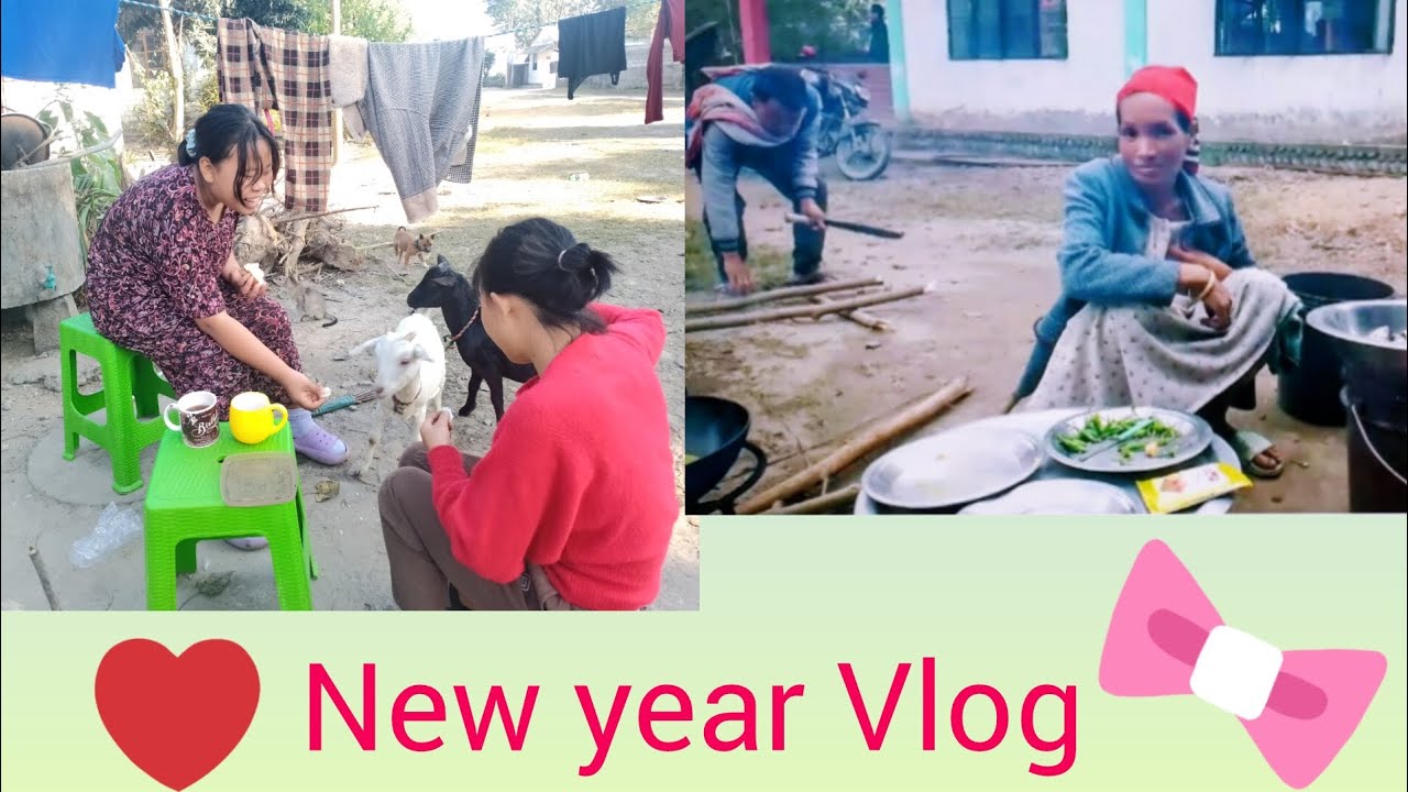 New year Vlog, & milne aaye kush pyaar se dost