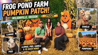 Pumpkin Patch at Frog Pond Farm in Wilsonville, Oregon