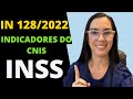 IN 128 de 2022 do INSS e os indicadores do CNIS