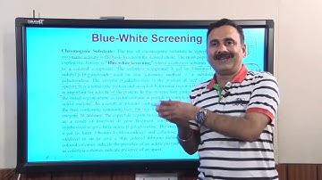 Lec 16: Screening of Recombinant Clones #swayamprabha #ch31sp