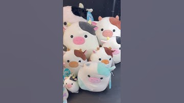 I want my own COW 🐮 SQUISHMALLOWS planet! #squishmallows #shorts