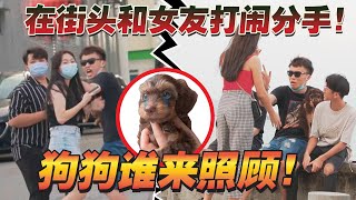 在檳城街頭和女友鬧分手!狗狗撫養權歸?路人到底會支持誰?