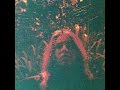 Turnover - Peripheral Vision (2015) FULL ALBUM