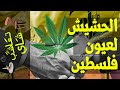 {تعاشب شاي}(328) الحشيش... لعيون فلسطين