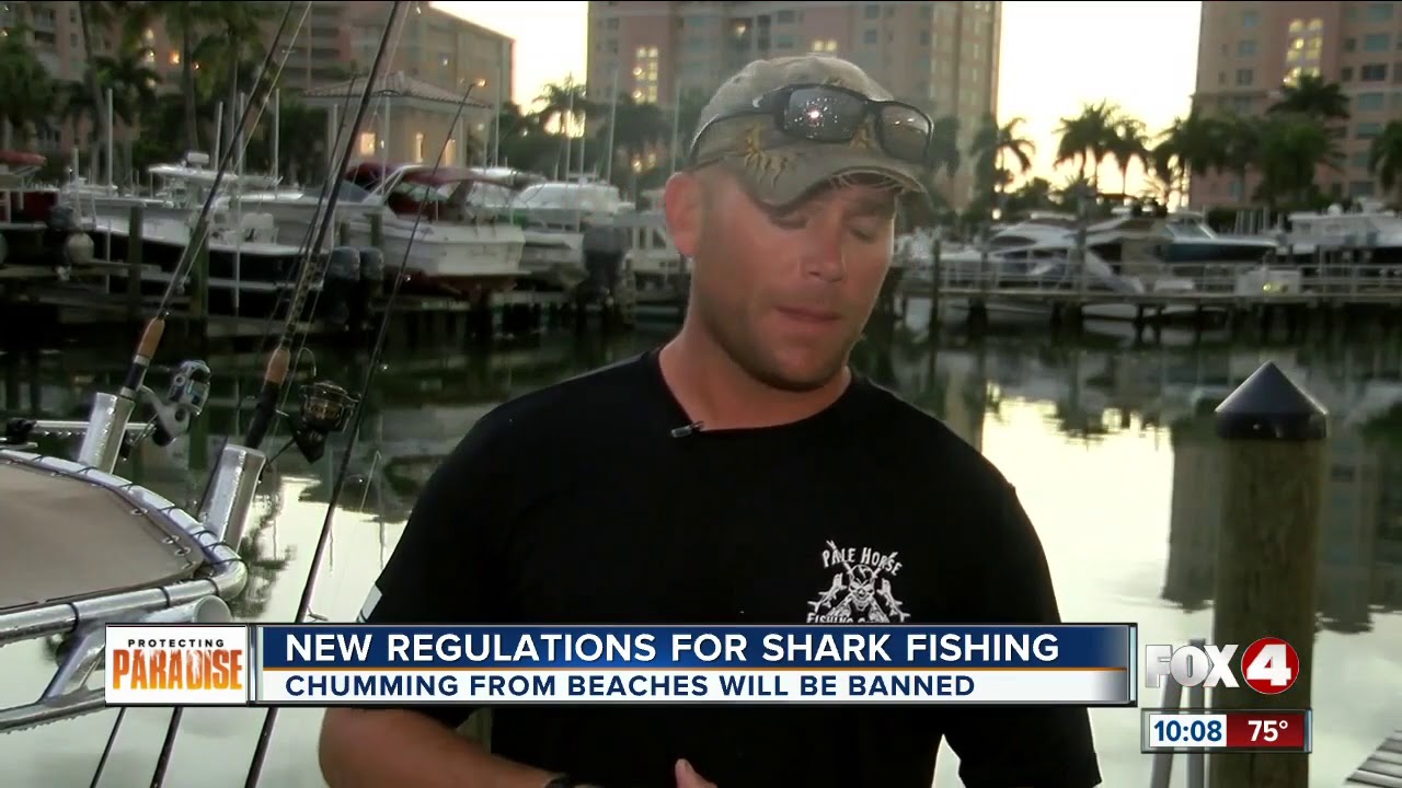 New rules protecting sharks to take effect