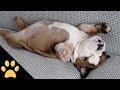شائع على YouTube بولند