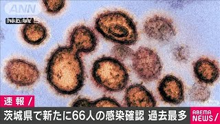新型コロナ　茨城県の新たな感染者66人　過去最多(2020年11月21日)