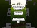 7 Juni 2026