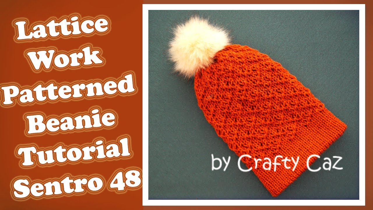 22 Pin Adult Sized Beanie tutorial