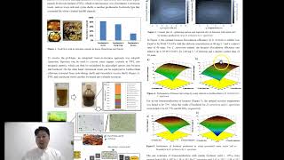 Efficient biodiesel production by an integrated waste to resource approach