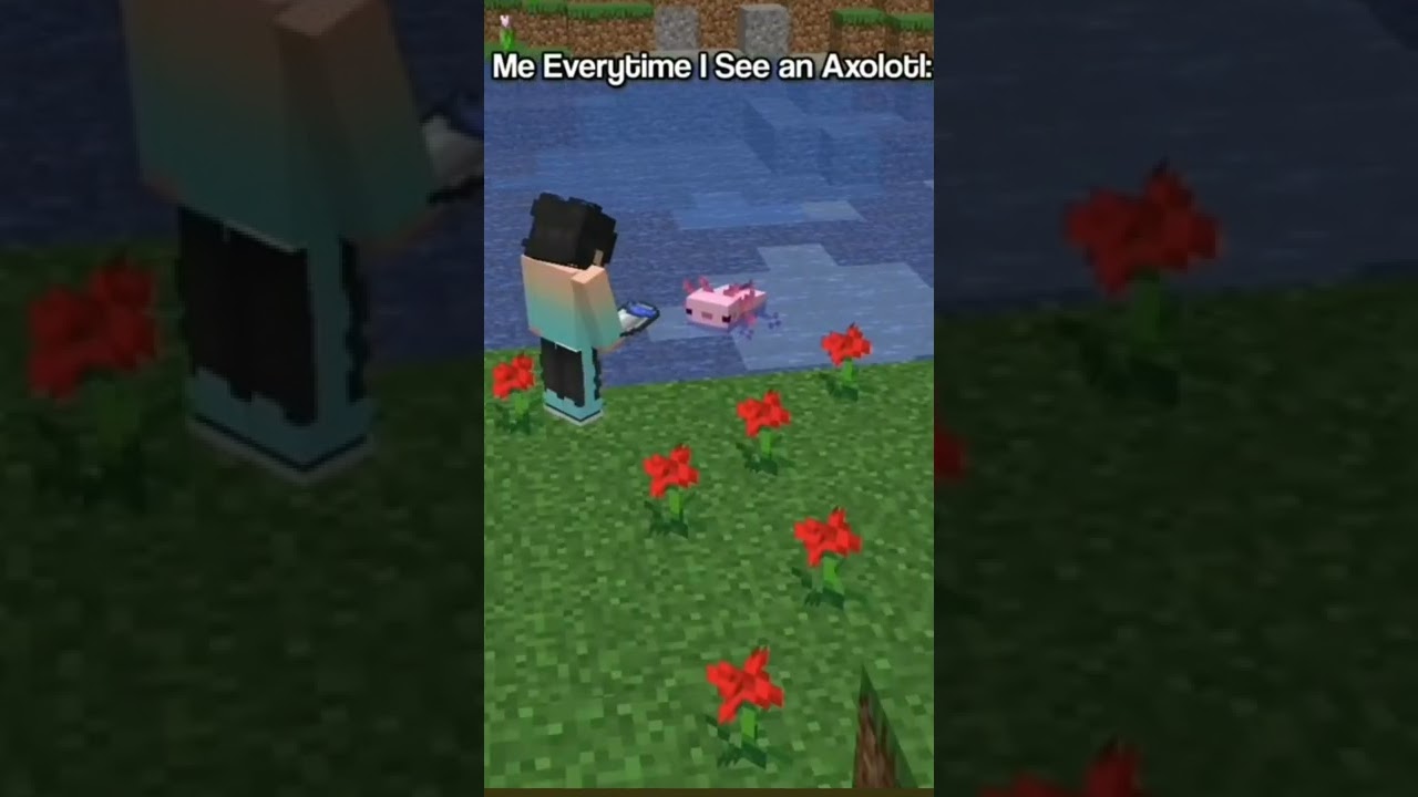 me everytime i see a Axotol