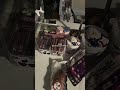 ほんっっっとに1万人ありがとうございます#生活音 #咀嚼音 #vlog #チャンネル登録お願いします