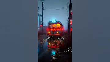 ماتيسر من سورة فصلت الشيخ بلال سيف 