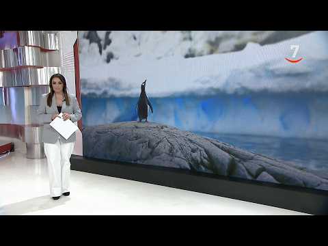 CyLTV Noticias 14:30 horas (04/04/2026)