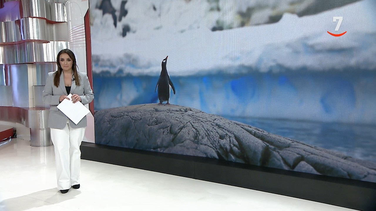 CyLTV Noticias 14:30 horas (04/04/2026)