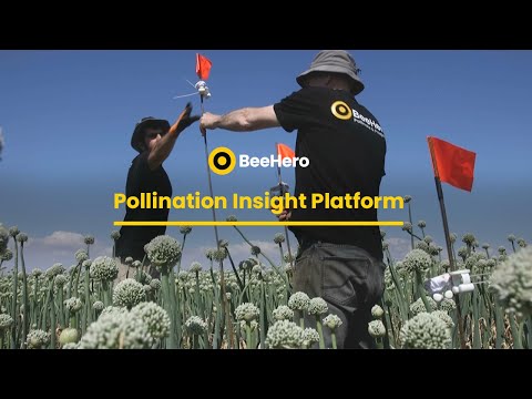 BeeHero Pollination Insight Platform - video from BeeHero