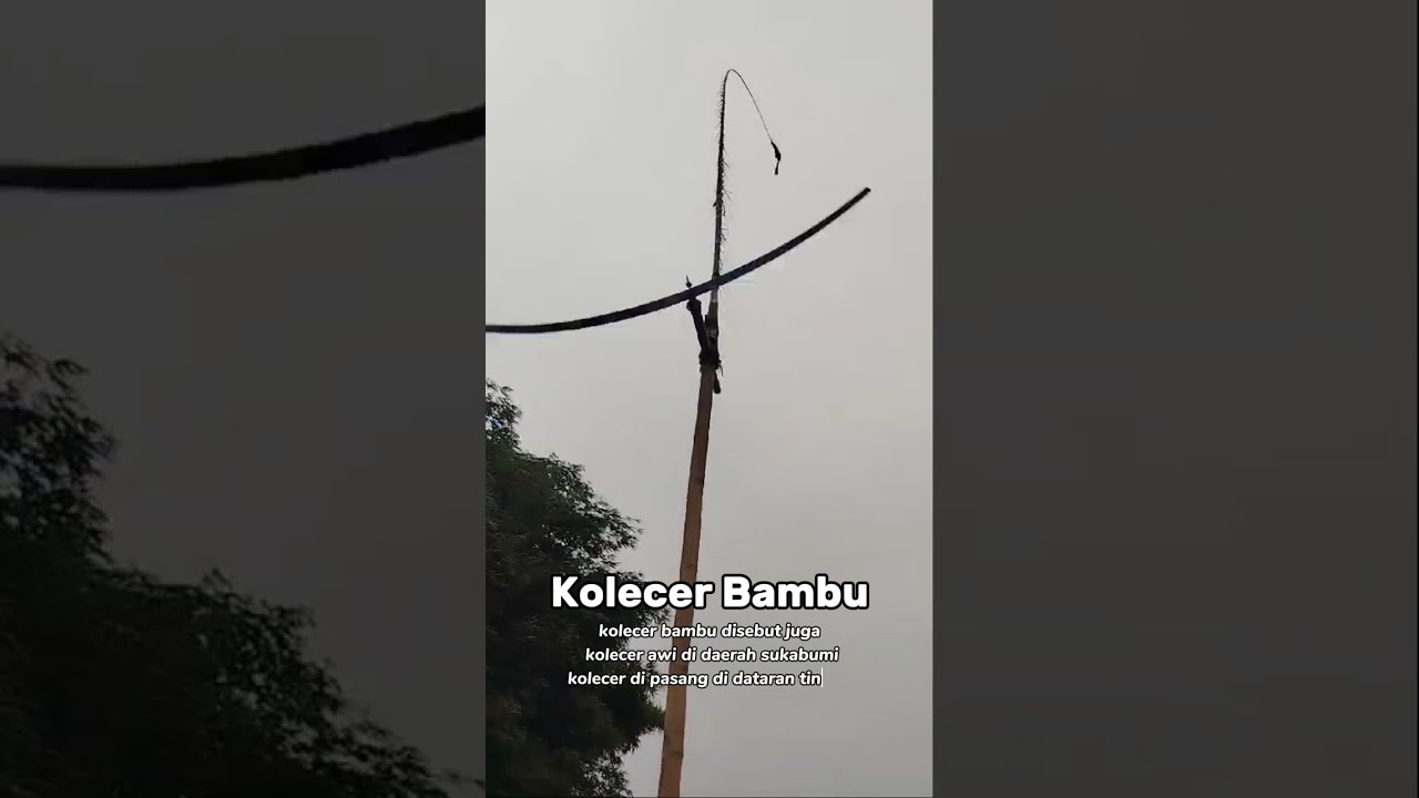 Pemasangan baling-baling bambu (kolecer awi) mumpung angin nya gede#balingbambu #kolecer