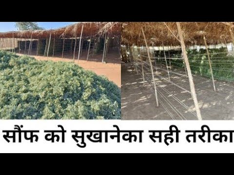 वीडियो: फ्रोजन चिकन ब्रेस्ट कैसे बेक करें (चित्रों के साथ)