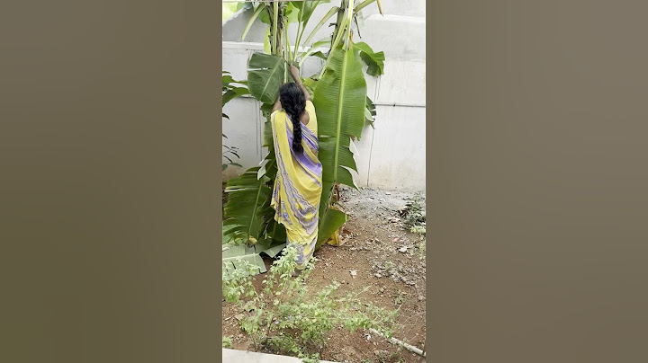 10.6.2025 🌿 Ithu illainaalum kastam#shorts #shortsfeed #home #vlog #minivlog