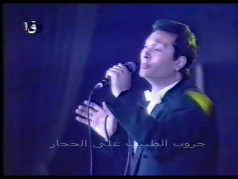 لسة الكلام على الحجار حفلة نادرة